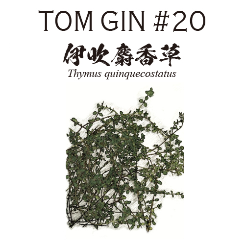 TOM GIN #20