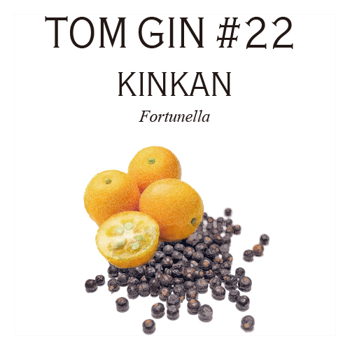 TOM GIN #22