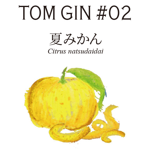 TOM GIN #02