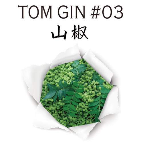 TOM GIN #03