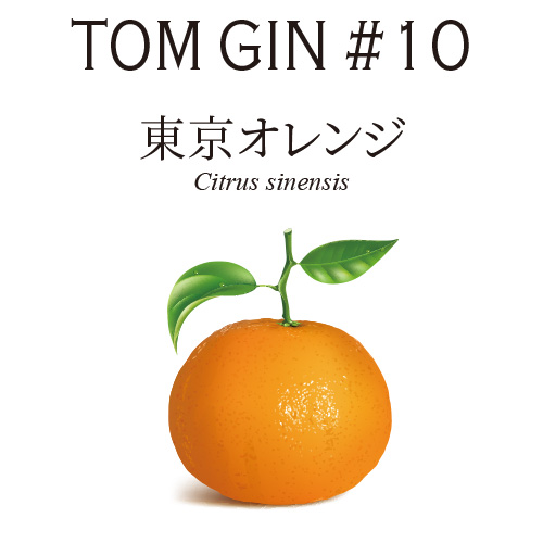 TOM GIN #10 東京オレンジ