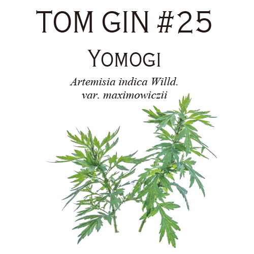 TOM GIN #25