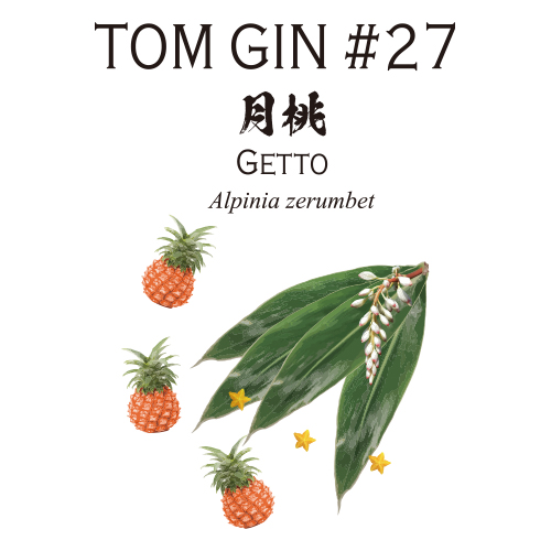 TOM GIN #27