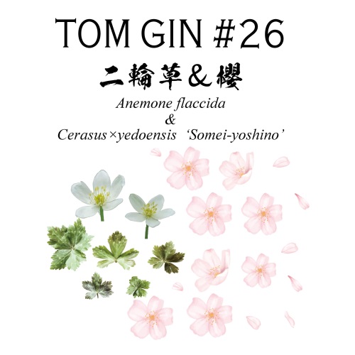 TOM GIN #26