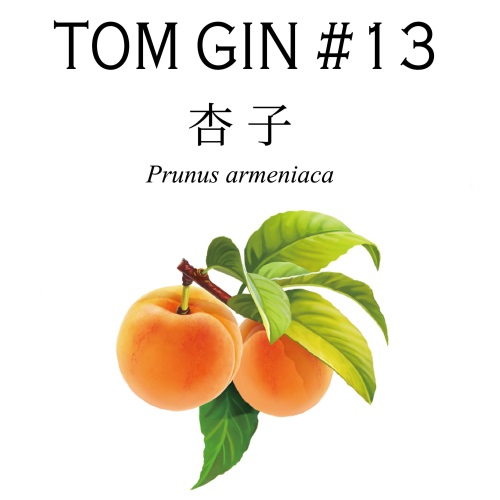 TOM GIN #13 杏