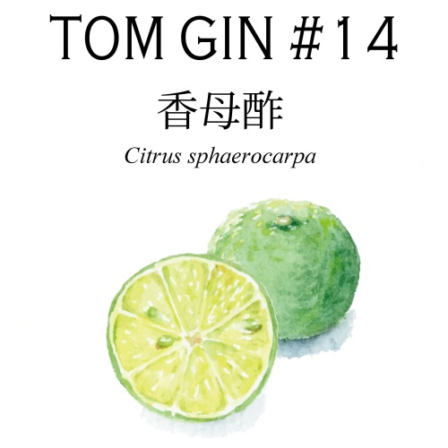 TOM GIN #14