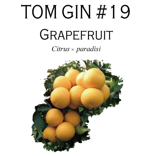 TOM GIN #19