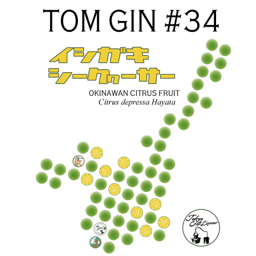 TOM GIN #34