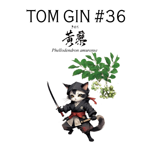 TOM GIN #36